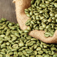 Cured Green Coffee Beans