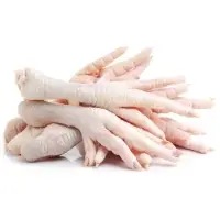 Halal Frozen Chicken Feets from Brazil