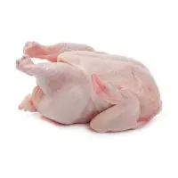 HALAL Frozen Whole Chicken From Brazil