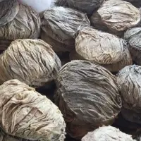 Frozen Dry Salted Beef Omasum for sale