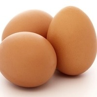 Fresh Eggs