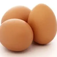 Fresh Eggs