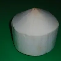 Young Coconut