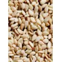 Sesame Seeds