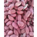 Groundnut (Peanut)