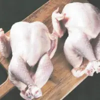Frozen Chicken