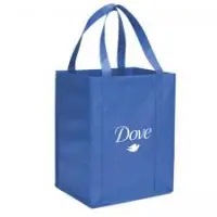 Non Woven Promotional Bag