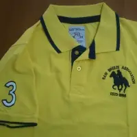 Mens Polo T Shirt