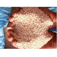 Sesame Seeds