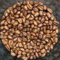 Peaberry Gayo