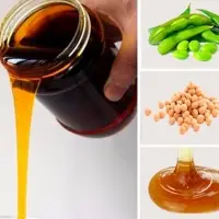 Soya Lecithin (GMO)