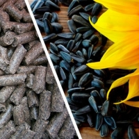 Granulated Sunflower Meal