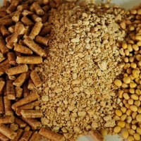 Soybean Meal