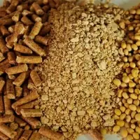 Soybean Meal