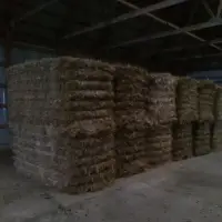Wheat Straw