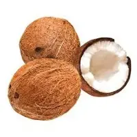 Fresh Coconut
