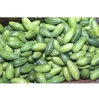 Gourd
