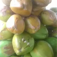 Tender Coconut