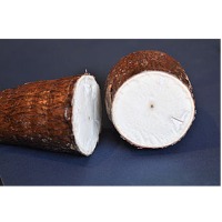 Tapioca Starch