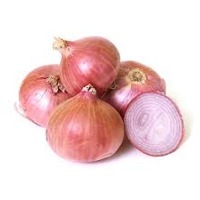 Onion