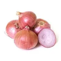 Onion