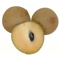 Sapota (Chickoo)