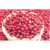 Organic Kidney Beans