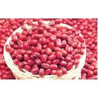 Organic Kidney Beans