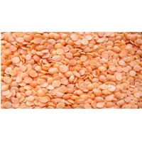 Organic Masoor Daal