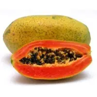 Papaya