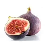 Fig