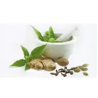 Ayurvedic Health Foods