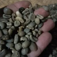 Indonesia Arabika Coffee Bean