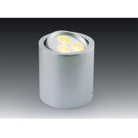 LED down light
