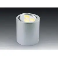 LED down light
