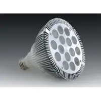 LED PAR38