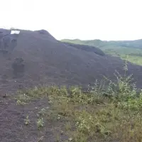 Manganese Ore