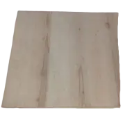 Balsa Wood Panel
