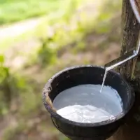 Nitrile Butadiene Rubber (NBR)