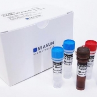 COVID 19 Detection Kit
