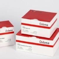 DxReal COVID 19 Detection Kit