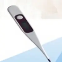 Economy Digital Thermometer