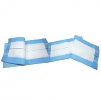 Disposable Economy Underpad
