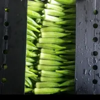 Okra Clemson