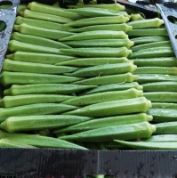 Indian Okra Or Lady Finger
