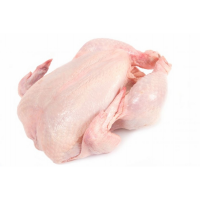 go4_apollo_cartako_imageUrl_1615203450 Frozen Chicken Suppliers