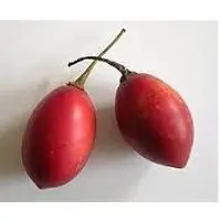 Tamarillo