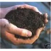 Organic fertilizer