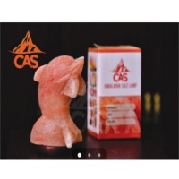 Dolphin Shaped Himalayan Salt Lamp