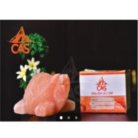 Turtle Shape Himalayan Salt Lamp